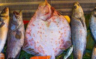 pesce mercato con fresco mare Pesci foto