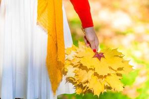 contento giovane donna con giallo acero le foglie all'aperto a bellissimo autunno parco foto