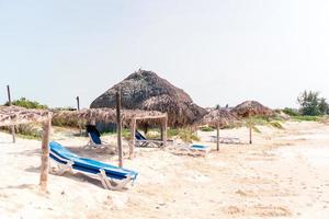 idilliaco tropicale spiaggia con bianca sabbia, turchese oceano acqua e grande palma alberi foto