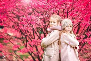 poco affascinante ragazza all'aperto su un' caldo autunno giorno. bambini su sfondo di il incredibile colore di il albero nel autunno foto