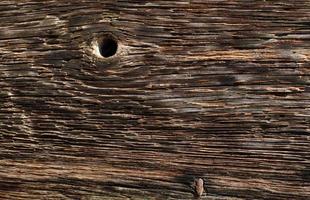trama venatura del legno