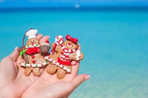 vicino su di Natale Pan di zenzero biscotti nel mani contro il turchese mare foto