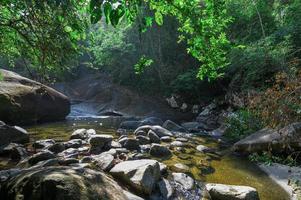 ruscello nel parco nazionale delle cascate di khao chamao foto