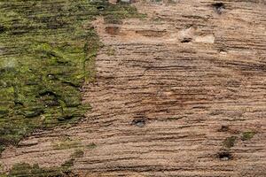 struttura di legno foto