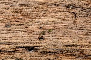 struttura di legno foto