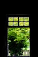 sagoma di una finestra e un giardino foto