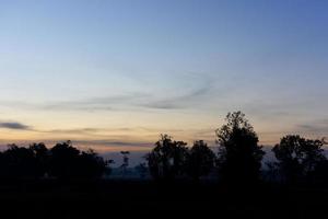 sagome di alberi al tramonto foto