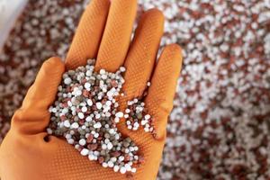 fertilizzante chimico per mano degli agricoltori con sfondo natura. foto