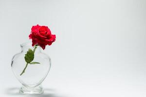 rosa rossa in una bottiglia a forma di cuore foto