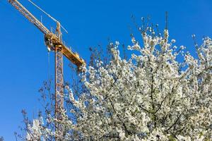 costruzione gru con un' primavera fioritura alberi foto