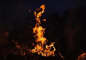 fiamme di falò a notte foto