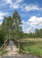 sentiero nel ohligser heide natura riserva,solingen-ohligs,bergisches terra, germania foto