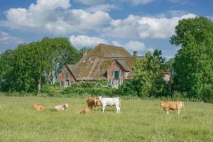 tradizionale azienda agricola Casa chiamato haubarg,sankt peter-ordinazione, nord mare, nord Frisia, Germania foto