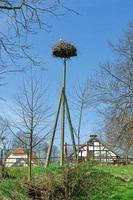 villaggio di cicogne zywkowo, warmia masuria voivodato,, polonia foto