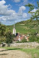 vino villaggio di ebringen nel nero foresta ,Germania foto