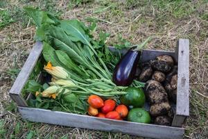 di legno scatola con un' varietà di biologico verdure. radici, tuberi, foglie, frutta e fiori foto