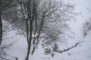 inverno paesaggio nel austriaco Alpi foto