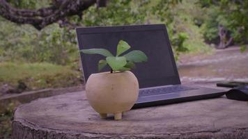 il computer portatile e pianta su il tavolo nel il giardino foto