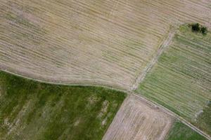 confezionato fieno balla raccolto foraggio palle aereo Visualizza foto