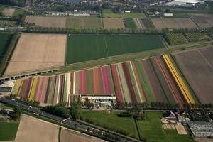 tulipano i campi Olanda aereo Visualizza a partire dal aereo foto