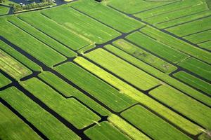 Olanda allevato i campi aereo Visualizza foto