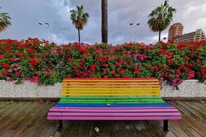 arcobaleno bandiera panchina dopo il pioggia nel valencia foto