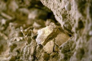 umano cranio e ossatura nel un' cripta tomba foto
