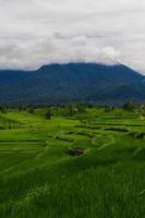 bellissimo mattina Visualizza a partire dal panorama Visualizza di indonesiano riso i campi con montagna foto