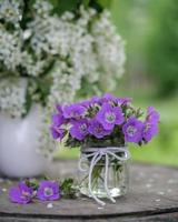 ancora vita con primavera colorato fiori nel il giardino. primavera ancora vita foto