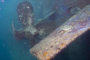 nave relitto nel il mare foto