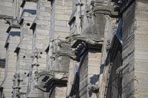 notre dama Parigi statue e doccioni foto