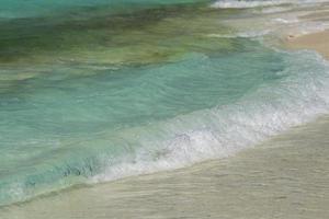 estate tropicale sabbioso spiaggia turchese acqua laguna foto