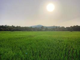 bellissimo naturale scenario durante il giorno, il cielo è blu, il nuvole foto