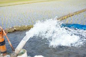 irrigazione di riso i campi utilizzando pompa pozzi con il tecnica di pompaggio acqua a partire dal il terra per flusso in il riso campi. il pompaggio stazione dove acqua è pompato a partire dal un' irrigazione canale. foto