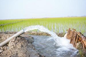 irrigazione di riso i campi utilizzando pompa pozzi con il tecnica di pompaggio acqua a partire dal il terra per flusso in il riso campi. il pompaggio stazione dove acqua è pompato a partire dal un' irrigazione canale. foto