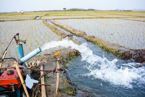 irrigazione di riso i campi utilizzando pompa pozzi con il tecnica di pompaggio acqua a partire dal il terra per flusso in il riso campi. il pompaggio stazione dove acqua è pompato a partire dal un' irrigazione canale. foto
