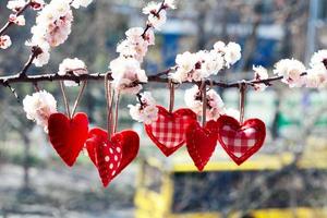 San Valentino giorno amore Bellissima. cuore sospeso su ramo di albero foto