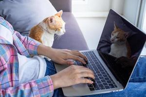 un' donna seduta e Lavorando su il divano a casa per soddisfare con azienda politica. opera a partire dal casa può uso il Internet e computer per video conferenza e incontro. ridurre diffusione covid-19 foto