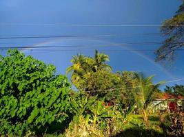 colorato arcobaleno sopra il alberi foto