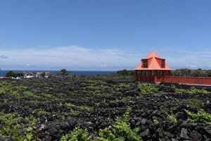 pico isola azzorre vigneto vino uva protetta di lava pietra aereo Visualizza foto