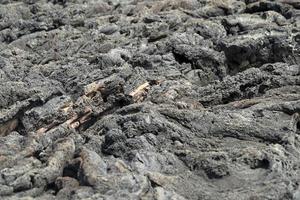 pico azzorre lava campo di il mare dettaglio foto