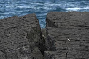 pico azzorre lava campo di il mare dettaglio foto