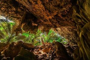 paesaggio di grotta e albero hup papà tatuato, utai di me, Tailandia foto