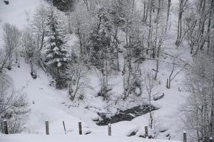 inverno paesaggio nel austriaco Alpi foto