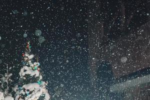 neve arriva a partire dal il cielo su Natale notte e docce il Natale alberi foto