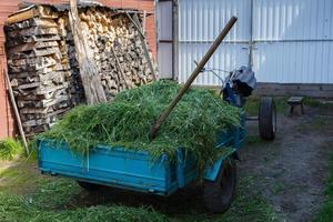 a piedi trattore in piedi nel il cortile. un' due ruote trattore è caricato con tagliare verde erba. foto