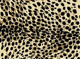 senza soluzione di continuità leopardo modello, leopardo pelle, animale Stampa. foto