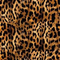 senza soluzione di continuità leopardo modello, leopardo pelle, animale Stampa. foto