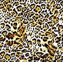 senza soluzione di continuità leopardo modello, leopardo pelle, animale Stampa. foto