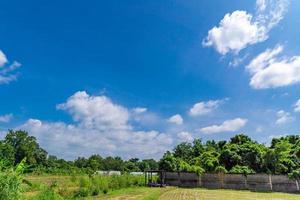 bellissimo verde risaia riso campo nel il Aperto blu cielo. foto